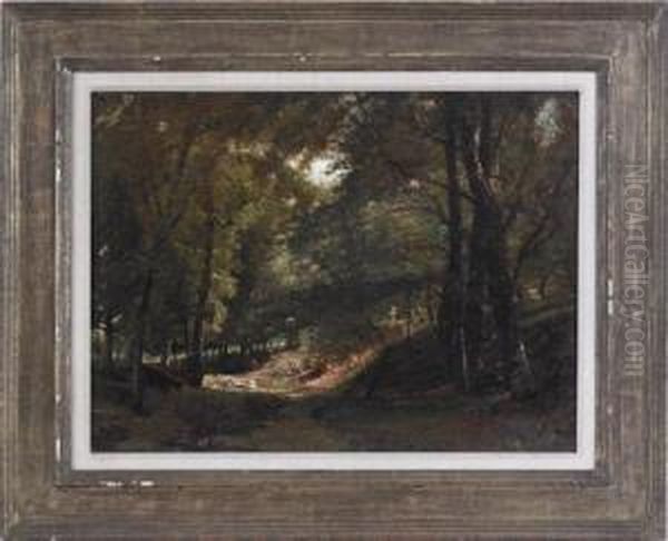 Landscape - view 1