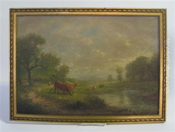 Cows In Pasture With Woods Near Pond - view 1