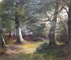 Sonnendurchflutete Waldlichtung by Anatol Hober