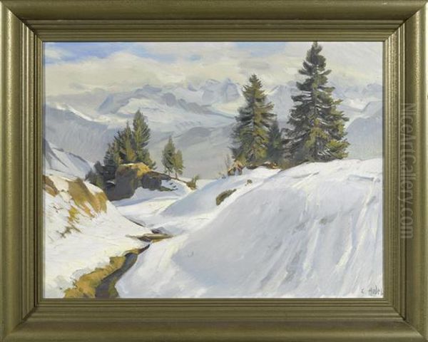 Rigi Landscape In Winter. - view 1