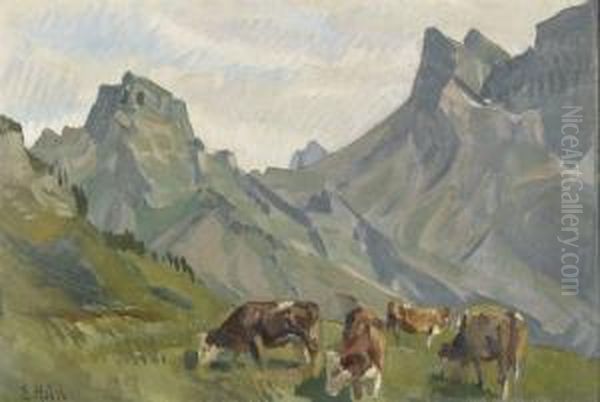 Iseltenalp - view 1