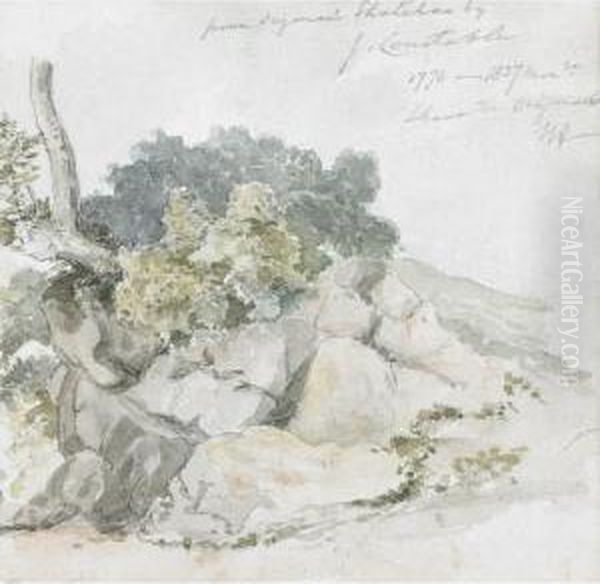 Rocky Shore; Country Path - view 1