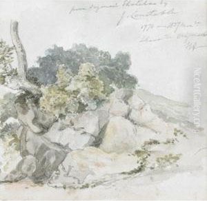 Rocky Shore; Country Path
