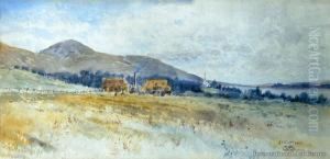 At East Taieri At East Taieri