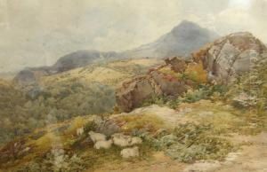 Moel Siabot.n.w. by George Hodgson