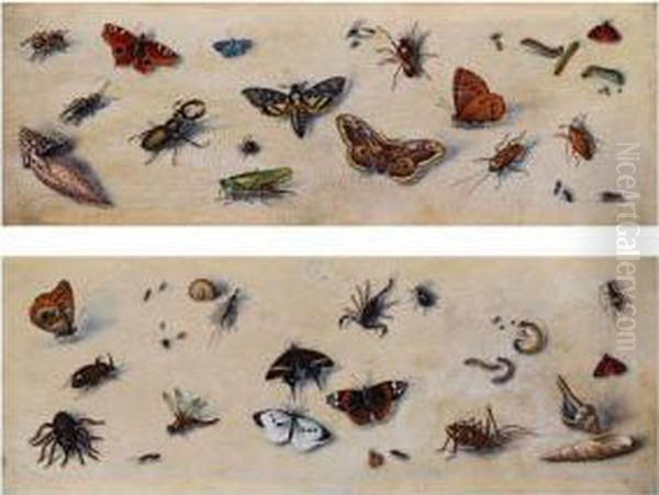 Paar Insektenstudien - view 1