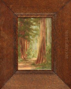 Redwoods