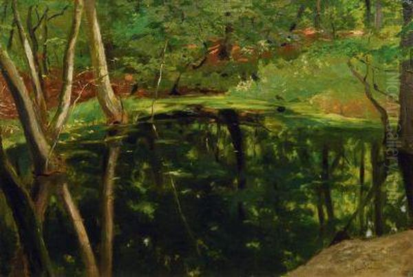 Kleiner Waldteich - view 1