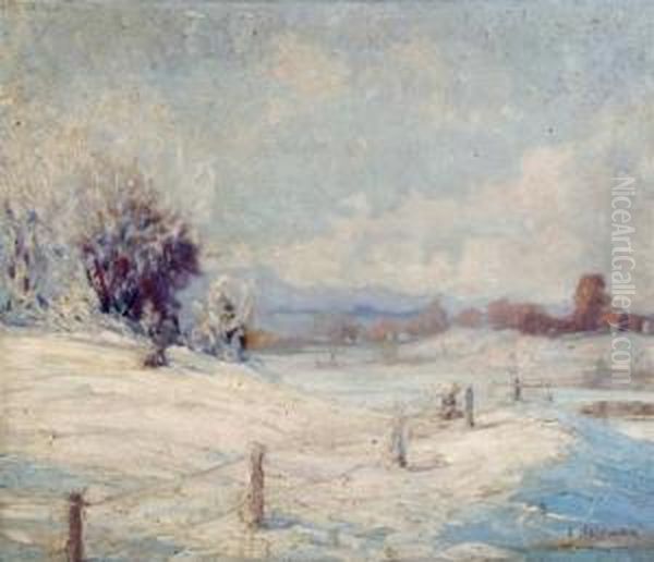 Winter Landscape - view 1