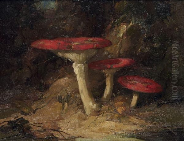 Mushrooms - view 1