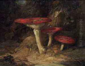 Mushrooms
