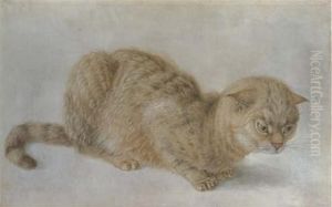 A Crouching Cat by Hans Hoffmann