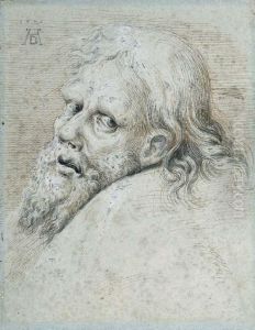 The Head Of A Bearded Man by Hans Hoffmann