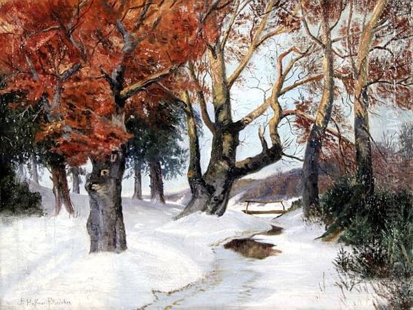 Winterlicher Marchenwald - view 1