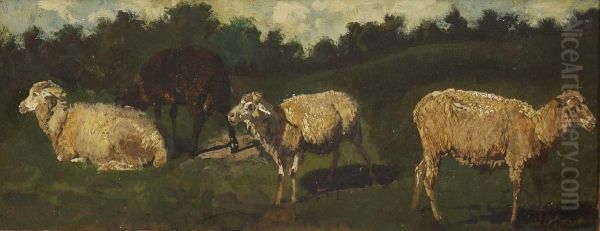 Schafe Auf Der Weide - view 1
