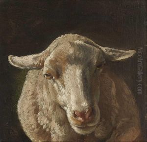 Schaf by Johann Baptist Hofner