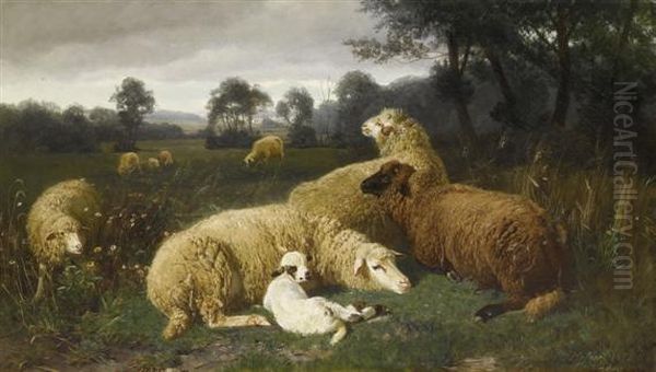 Reclining Sheep - view 1