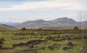 Peat Bed At Broadford Skye by Stephen E. Hogley