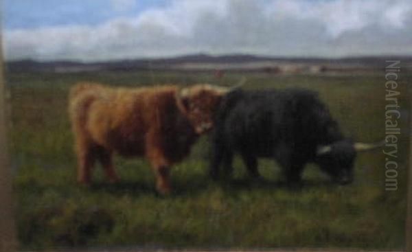 Highland Cattle In A Moorland Landscape - view 1
