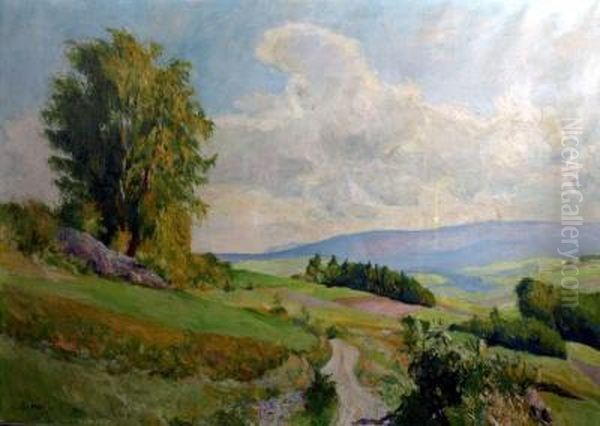 Sommerliche Gebirgslandschaft - view 1