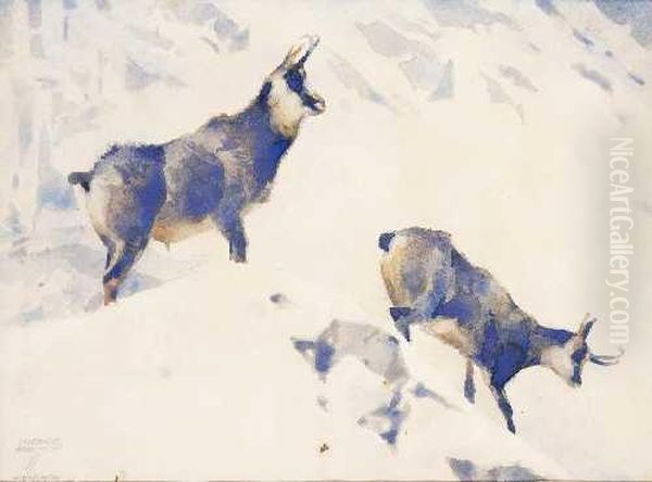 "gemsen Im Schnee" - view 1