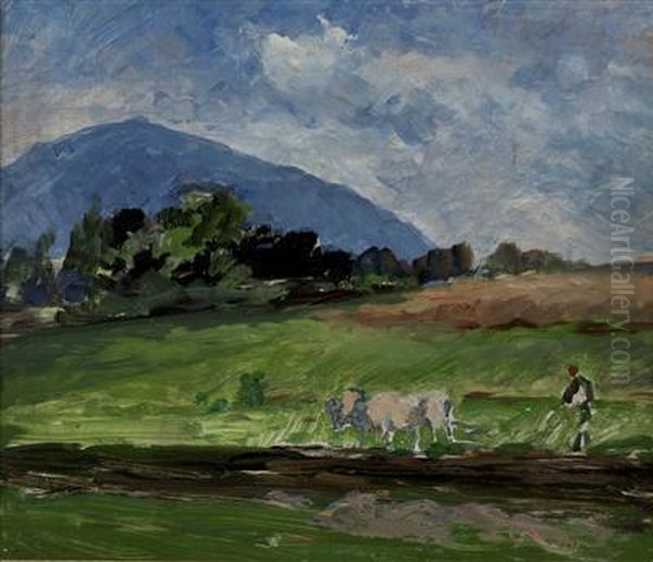 Bauer Bei Der Feldarbeit - view 1