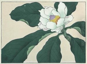 Magnolia