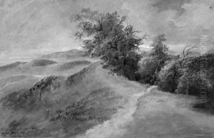 Blick Vom Hermannskogel Auf Den
Wienerwald. by Therese Holbein Von Holbeinsberg