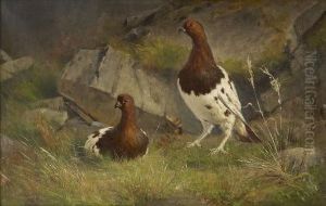 Ryper by Jacob A. Julius Holck
