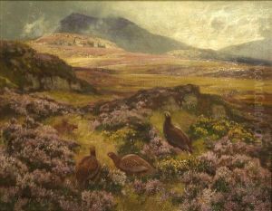 Grouse On A Moor