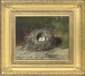 Birds Eggs In A Nest On A Grassy Bank; And Birds Eggs In A Nest Ona Sandy Bank by Benjamin, Ben Hold