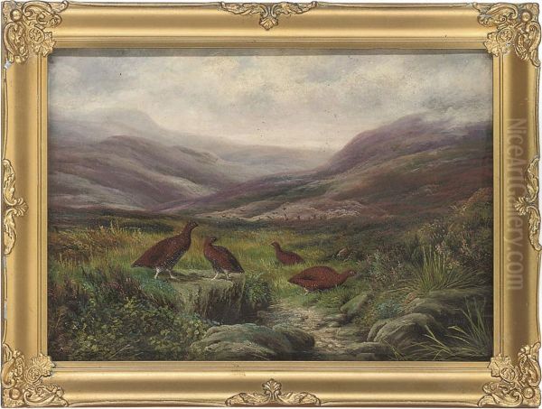 Grouse In A Highland Landscape - view 1