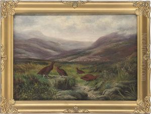 Grouse In A Highland Landscape by Benjamin, Ben Hold