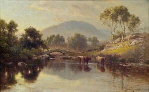 Flusslandschaft Mit Kuhen