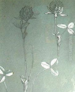 Studies Of Snowdrops And Of Clover by Henry Holiday