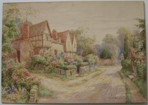 Thatched Roof House With Gardens