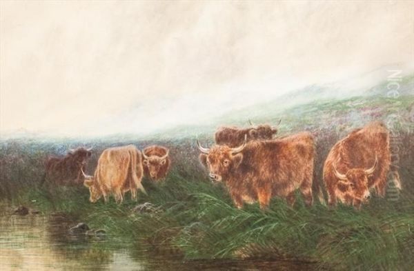 Highland Cattle - view 1