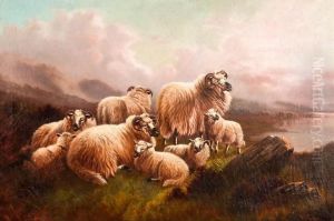 Sheep Resting by William Perring Hollyer