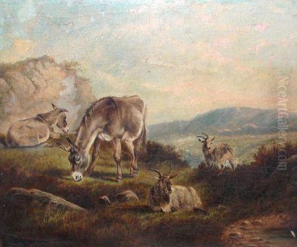 Donkey And Goats Grazing In Landscape - view 1