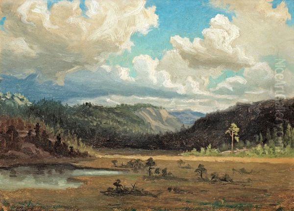 Northern Landscape, Probably Fromjamtland - view 1