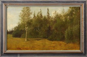 Skogslandskap by Per Daniel Holm