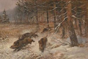 Wildschweine Im Winterwald