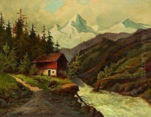 Almhutte Am Bachlauf In Sommerlicher Alpenlandschaft