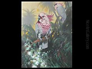 Zwei Kakadus by August Holmberg