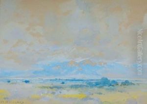 The Prairies With Receding Mountains