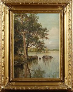 Insjolandskap Med Eka by Josefina Holmlund