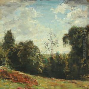 A Hilly Summer Landscape