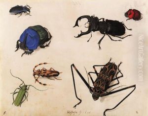A Mottled Longhorn Beetle, A Musk Beetle, A Blue Rhinoceros Beetle,a Cerulean Chafer Beetle, A Stag Beetle, Scarlet Rhinoceros Beetleand Another by Pieter The Elder Holsteyn