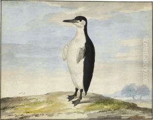 A Penguin A Penguin