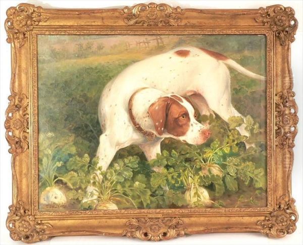 A Hunting Dog - view 1